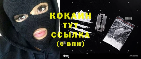 кокс Гусев