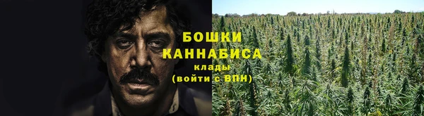 а пвп мука Гусиноозёрск