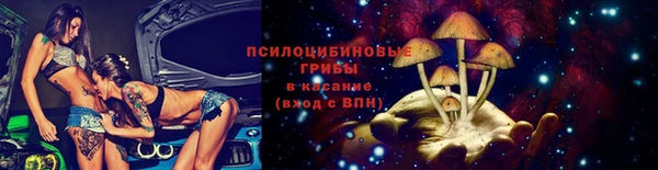 тгк Гусь-Хрустальный