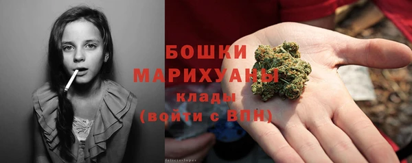 кокс Гусев