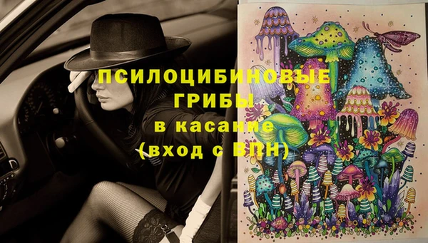 тгк Гусь-Хрустальный