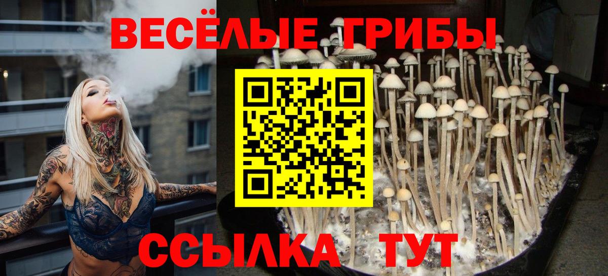 Галлюциногенные грибы Psilocybe  Псилоцибиновые грибы ЛСД  Чусовой  Вход с VPN 