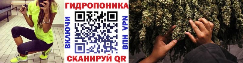 Шишки марихуана индика Чусовой